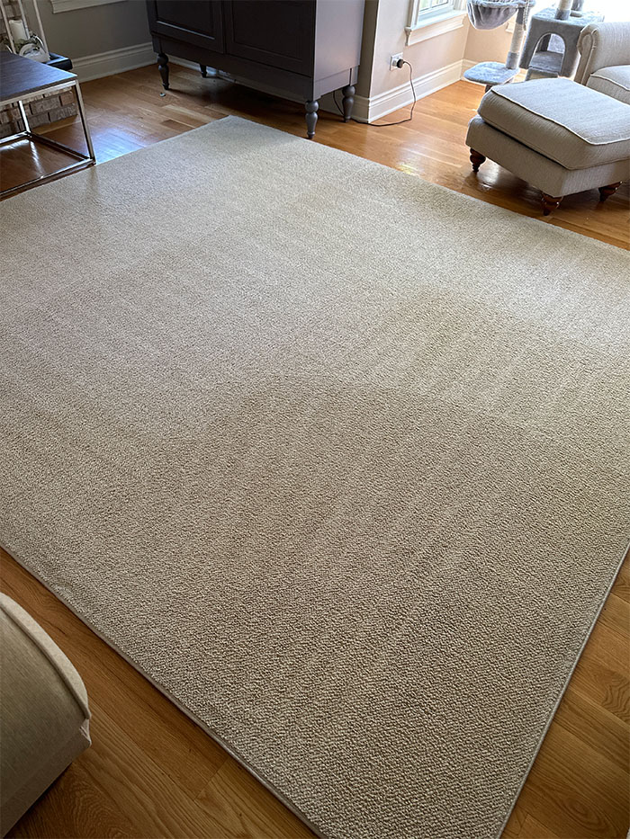 Area Rug Cleaning